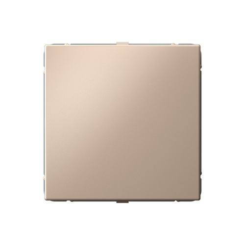 Systeme Electric ARTGALLERY ЗАГЛУШКА без суппорта для многопостовых рамок, ПЕСОЧНЫЙ